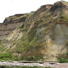 View of the cliffs east of Bishopstone Glen showing the rock formations and the obscuring effect of rock falls.