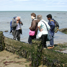 Adrian examines a shell sand sample for the presence of rare foraminifera.