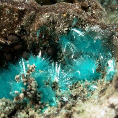 Aurichalcite, 79 Mine, Hayden, Gila County, Arizona, USA.