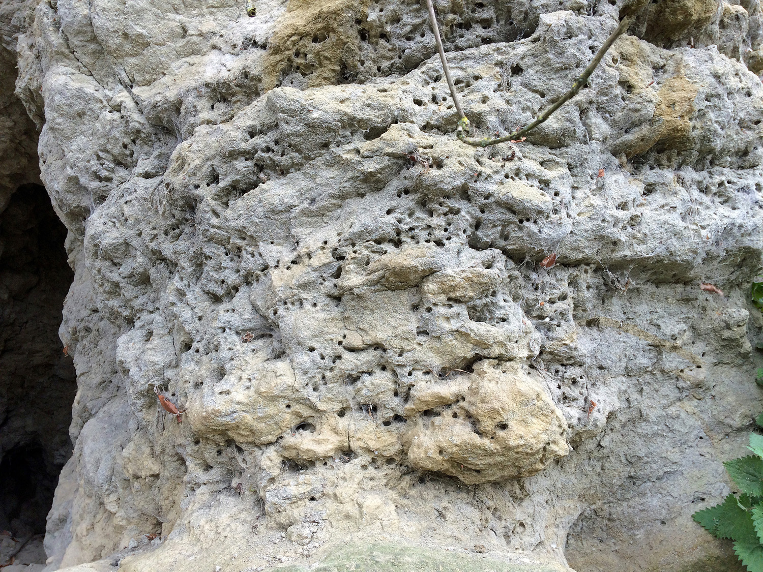 Mining Bee holes