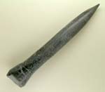 Un-named Belemnite species, Jurassic, southern England.