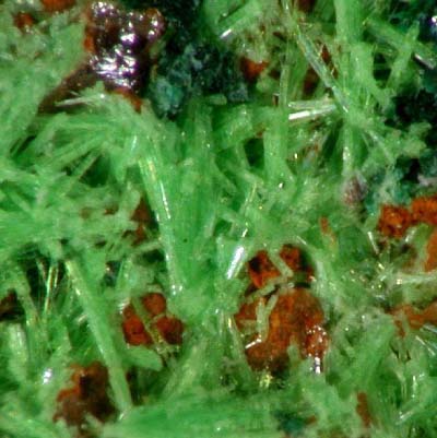 Cuprosklodowskite from the Shinkolobwe Mine, Shaba, Katanga, Zaire