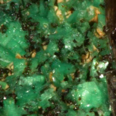 Metatorbernite from Margabal, Entraygue, Averyon, France