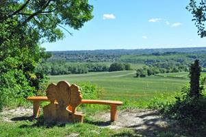 Medway Valley