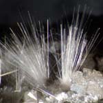 Mesolite, Ballynulto Quarry, Broughshane, County Antrim, Ireland