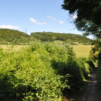 North Downs from the Pilgrims Way