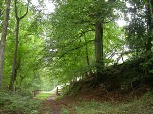 View along the Onny geology trail