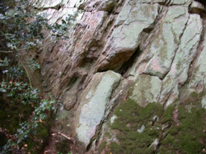 Hoar Edge Grit in the quarry at the western end of the trail - Site No.1