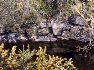 Site No.5 - Anticline caused by upthrust of Silurian Lake District rocks to the west